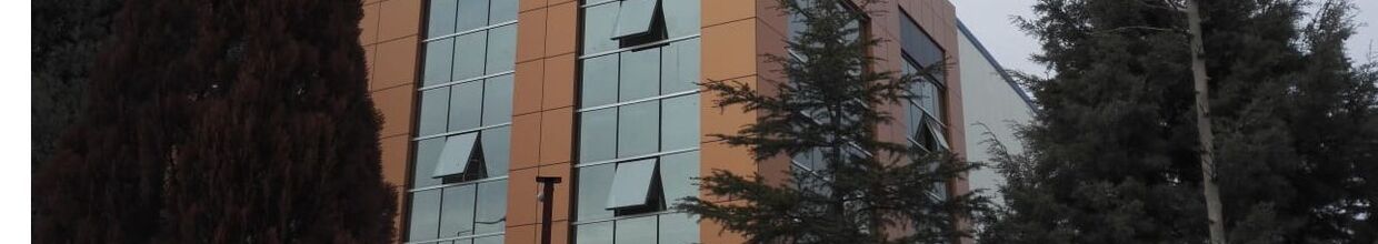 Wımac Crane Mühendislik Sanayi Ve Ticaret Limited Şirketi