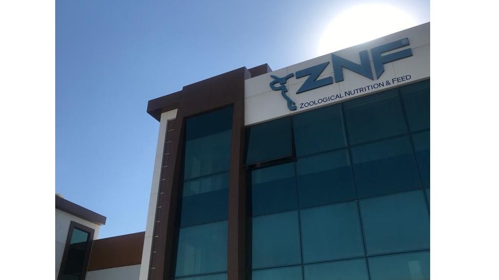 ZNF Besin Maddeleri Sanayi ve Ticaret Anonim &#x15E;irketi
