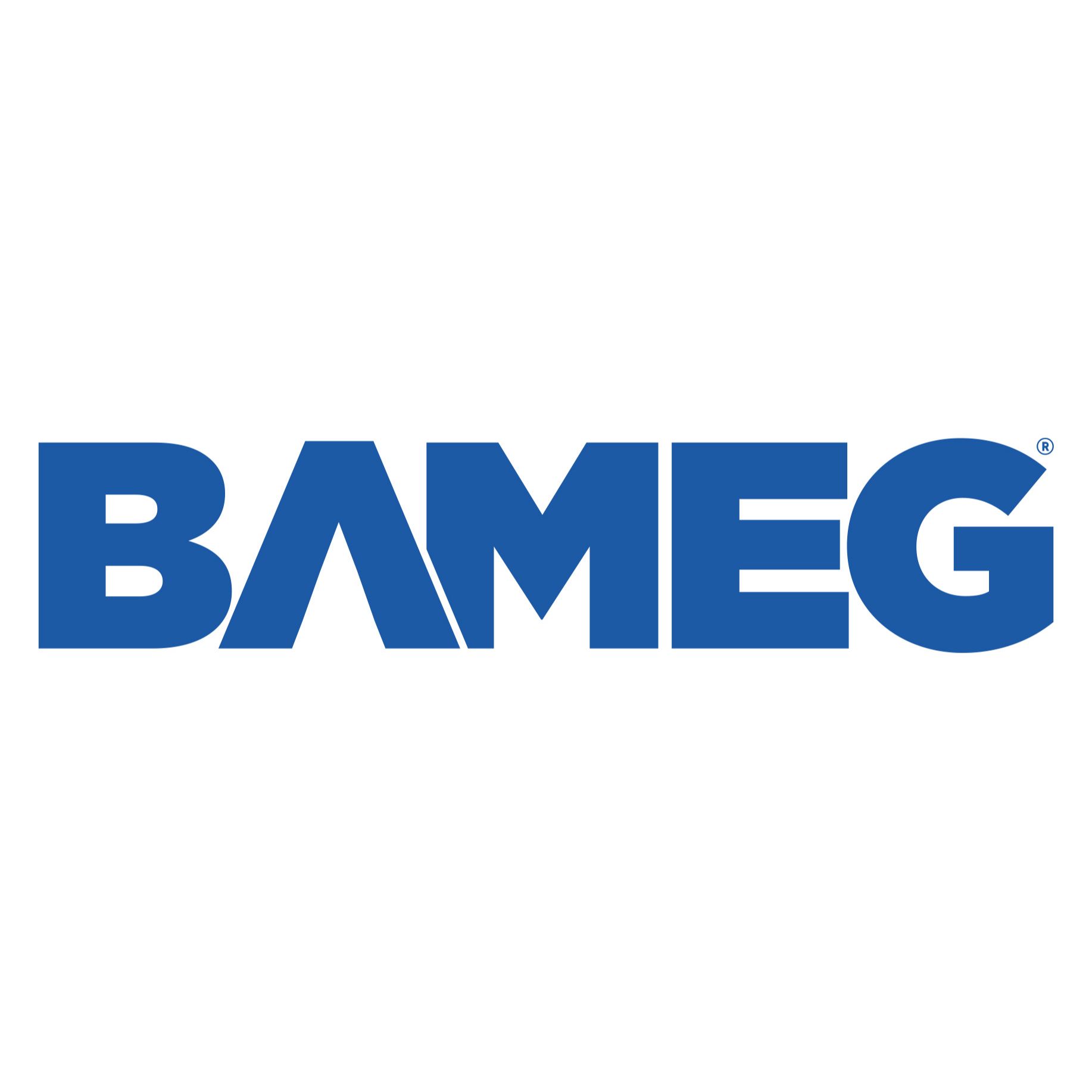 Bameg Otomotiv Sanayi Ticaret Limited Şirketi