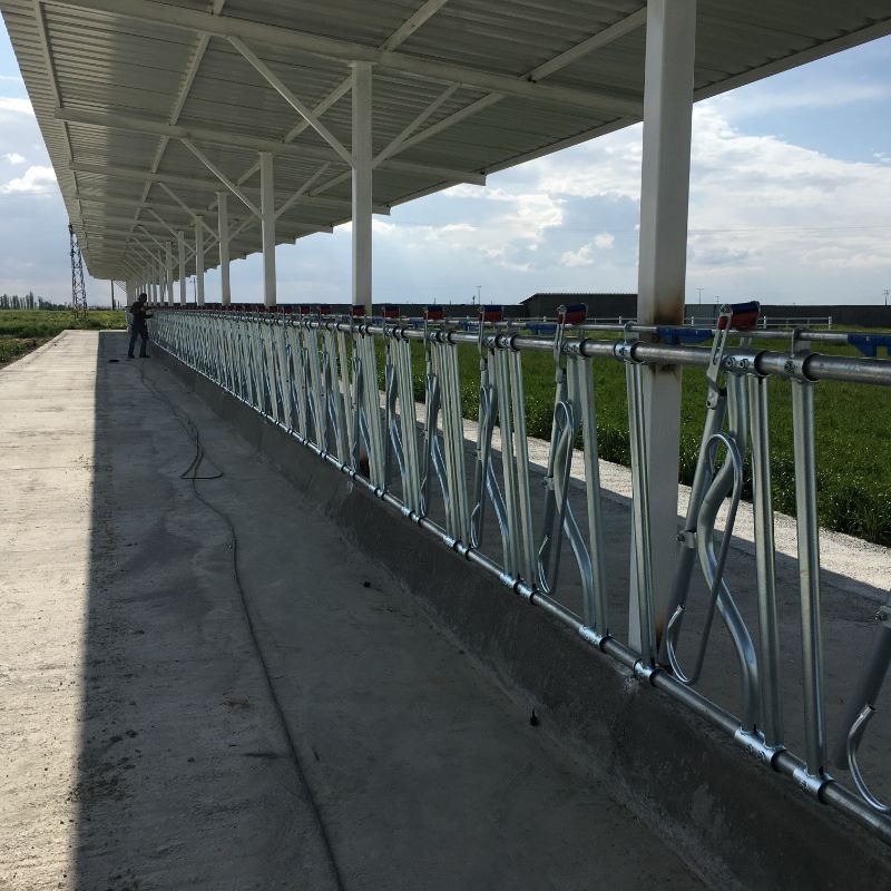 Ezel Büyükbaş Hayvancılık Ekipmanları Sanayi Ticaret Limited Şirketi