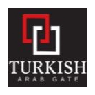 Turkısh Arab Gate Danışmanlık Limited Şirketi