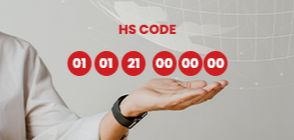 &#x41F;&#x43E;&#x447;&#x435;&#x43C;&#x443; &#x43A;&#x43E;&#x434;&#x44B; HS &#x432;&#x430;&#x436;&#x43D;&#x44B; &#x432; &#x43C;&#x438;&#x440;&#x43E;&#x432;&#x43E;&#x439; &#x442;&#x43E;&#x440;&#x433;&#x43E;&#x432;&#x43B;&#x435;?