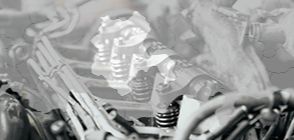 &#x41A;&#x430;&#x43A;&#x438;&#x435; &#x43E;&#x442;&#x440;&#x430;&#x441;&#x43B;&#x438; &#x43D;&#x430;&#x438;&#x431;&#x43E;&#x43B;&#x435;&#x435; &#x440;&#x430;&#x437;&#x432;&#x438;&#x442;&#x44B; &#x432; &#x41A;&#x43E;&#x43D;&#x44C;&#x435;?