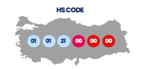 &#x41A;&#x430;&#x43A;&#x43E;&#x439; &#x43A;&#x43E;&#x434; &#x422;&#x41D; &#x412;&#x42D;&#x414; &#x443; &#x422;&#x443;&#x440;&#x446;&#x438;&#x438;?