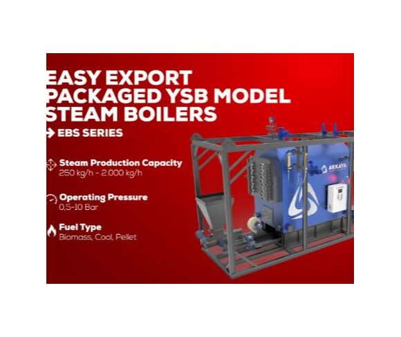Biomass Fired Steam Boiler