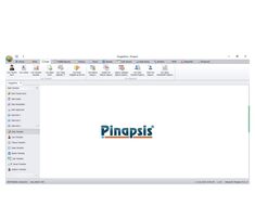 Pinapsis Accounting Program