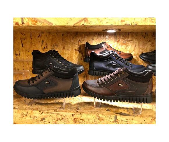 Shoe