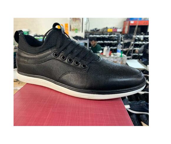 Shoe