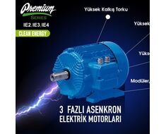 Industrial Engine