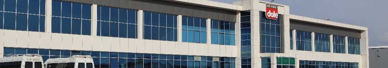 Safien İç Ve Dış Ticaret Limited Şirketi
