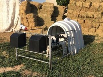 طقم كوخ العجل