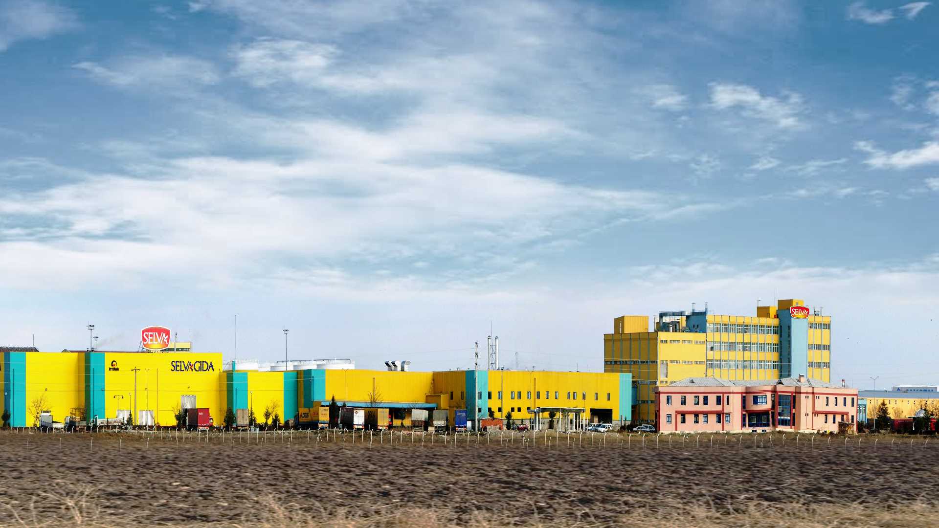 SELVA GIDA SANAYİ A.Ş.