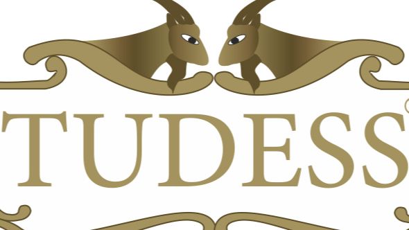 Turgutlar Saraciye Deri İnşaat Tarım  Mühendislik Danışmanlık. San. ve Tic. Ltd. Şti.